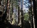 縦走7時間の「奥高尾」幼少から「高尾を200回以上歩いた」ライターがすすめる「絶景＆グルメ」の入門最適ルートとは！？ 【高尾山・小仏城山・景信山・陣馬山】の画像001