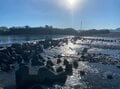 鮎尽し！  古の水路と町並みを旅する。世界農業遺産「清流長良川の鮎」をめぐる冬の川旅＜長良川 後編＞【ユーコンカワイの股旅リバログ vol.28】の画像004