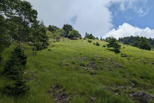 【首都圏から日帰り日本百名山】標高1,500m以上から歩き始めOK「大菩薩嶺」 涼しい稜線歩き＆下山後は温泉！  登山レポ