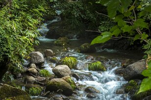 【渓流釣り】 夏と秋の狭間で揺れ動く季節 「薮濃き “ボサ川” で狙うイワナ」  長野県・北信エリア 2024年