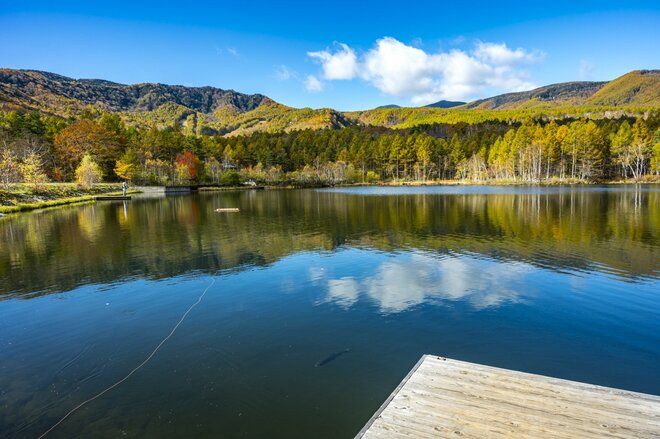 【長野県佐久穂町】八千穂レイクに映る紅葉と秋空のリフレクション！「没入感が半端ない、水辺の絶景」 2025年の画像003