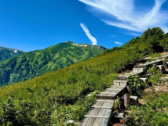 「北アルプス屈指の花の名山へ」 初夏に歩く朝日岳・雪倉岳 1泊2日の山旅【日本で山登りはじめました vol.7】の画像008