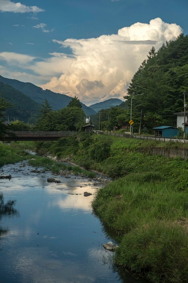 【自転車】峠を越えて！  “心地よい登りと気持ち良すぎる下り”  大分水嶺の極上グラベルロードを駆ける「中山道、鳥居峠」 長野県｜2026年の画像012