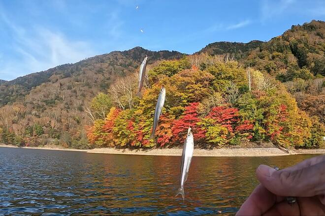 湖上から「紅葉絶景」360度展望！ 10月初旬「丸沼」で「秋のワカサギ」釣行！  帰宅後は天ぷらでシメる、まさに「釣り人の特権」満喫レポ【群馬県片品村】の画像014