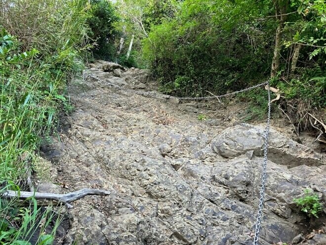 【首都圏近郊】1時間で登れるとは思えない絶景！  房総のマッターホルンこと「伊予ヶ岳」は今からのシーズンがおすすめの画像016