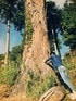 吉野 剛光