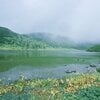 篠塚 理沙