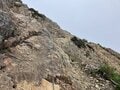 残暑を避けて登りたい「歩き出しから涼しい日帰りがっつりルート」 八ヶ岳・権現岳の画像017