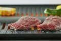 「炭火焼き」の美味しさを再現！ 手軽に本格焼肉が楽しめる「七輪」インスパイアのミニグリル【アラジン グラファイト ミニグリラー】の画像003
