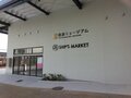 福山雅治主演のNHK大河『龍馬伝』舞台の桂浜！ 高知在住ライターが教える「青い海」感動スポットとは？の画像002