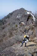 【ハイカー女子の一杯】 春ハイクで「雪頭ヶ岳」！  雄大な富士山に会いにいく “4杯目” 山梨県 2025年の画像003