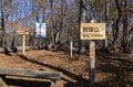 【登山口からハイライト】「アップダウンほとんどなし！」 山梨県の東端・大マテイ山の紅葉は今が見頃の画像011
