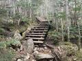 標高2,365m「大弛峠」から歩きはじめ！  奥秩父最高峰「北奥千丈岳」＆「国師ヶ岳」 2時間大展望登山レポの画像001