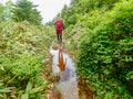 白い妖精・ワタスゲ踊る極上トレイル！「芳ヶ平湿原」を歩く＜群馬県＞の画像004