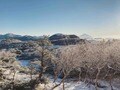 ＜初の登山道整備・実践編＞登山道はこうして維持されています！【わたし、山小屋はじめます vol.13】の画像004