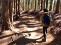 正しい姿勢を保つ！ トレランや登山の新兵器「ゼロドロップシューズ」とは？ 魅力や注意点を登山ショップ店員が「実使用リポート」の画像003