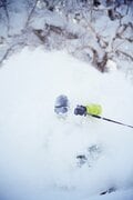 「ニセコ、ルスツ、キロロ、トマム、テイネ」ほか、パウダーフリーク “垂涎の的”【ツリーランが滑れる全国スキー場ガイド vol.1  北海道 編】の画像001