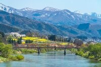 【ゴールデンウィーク直前】北信濃・春の絶景スポット4選！  「雪国にも遅い春がやってくる」千曲川の情緒あふれる花の景色 2022年・長野県