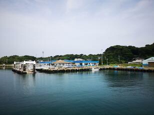 乗船35分で猫まみれ！  猫好きの楽園・北九州の離島「藍島」で出会える可愛らしい猫たちと「猫島」観光スポット