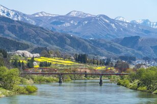 【ゴールデンウィーク直前】北信濃・春の絶景スポット4選！  「雪国にも遅い春がやってくる」千曲川の情緒あふれる花の景色 2022年・長野県
