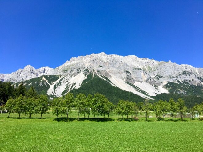 “絶景の岩山と氷河” オーストリアの世界遺産「ダッハシュタイン山脈」を歩く【キジ博士のナチュラリスト入門 vol.5】の画像003