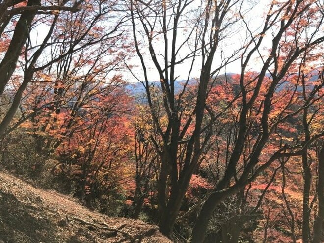 【首都圏近郊】11月は足腰の神様と紅葉が待つ人気日帰り低山「伊豆ヶ岳」への画像001