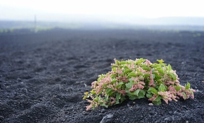 富士山登山