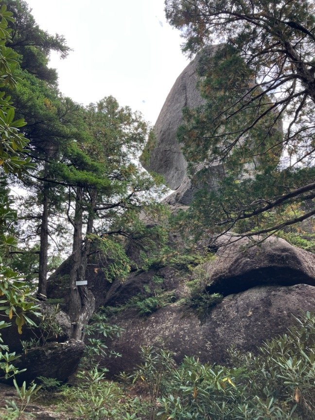 【気になる紅葉の進み具合】人気の百名山「金峰山」 色づき具合をレポート＜2026年9月連休明け＞の画像006