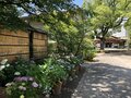 創建は平安時代！ 紫陽花咲き誇る歴史ある神社で「お伽犬みくじ」と「徳川武将みくじ」を引く【関西おみくじジャーニー vol.11「豊崎神社」／大阪市北区】の画像002