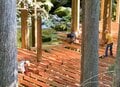 「海賊船、森に浮かぶ」 荒野を癒しの場に変えるツリーテラス作り【ユーコンカワイのシン・サウナ村建設記 vol.6】の画像011
