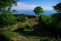 【5月は神の島へ！】リアスの海岸線を引き立てる青い海「絶景とご利益の島」 宮城県の金華山【月めくりの低山カレンダー #05】の画像002