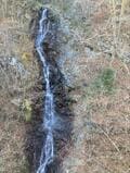東京・奥多摩を代表するハイキングスポット「三頭山」！ 「檜原都民の森」から「三頭大滝」経由「時計回りで2時間半」定番コースレポの画像004