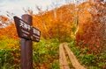 【日帰り登山ルポ】「日本百名山」谷川岳・リピーター続出！ 紅葉登山は想像以上に絶景で人気だった！ 天神尾根からオキノ耳へ《群馬県》の画像003