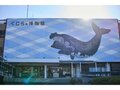 開創1200年 お寺でテントが張れる？  座禅や写経もできる「テンプルキャンプ」体験【絶景キャンプ場ガイド-言葉を失うほどの風景に会いに行こう- vol.37】の画像006