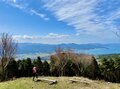 「海と山」の絶景が数珠つなぎ！「元乃隅神社・千畳敷・二位ノ浜」… 山口県・長門市油谷半島の全長18.5km「ながとトレイル」特選スポット6の画像006