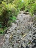 【首都圏近郊】1時間で登れるとは思えない絶景！  房総のマッターホルンこと「伊予ヶ岳」は今からのシーズンがおすすめの画像015