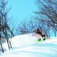 ロッテアライリゾート｜スキー場のほぼ全てがナチュラルエリア 冬山を思う存分楽しめる｜新潟
