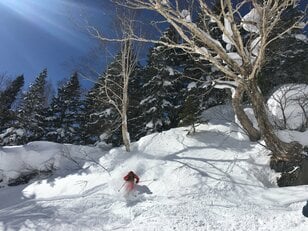 「共通リフト券」で全部滑れる！全国14の「連結スキー場」ラインナップ【岐阜・ワシトピア＆ダイナランド＆高鷲スノーパーク、兵庫・ハイパーボウル東鉢＆スカイバレイ＆ハチ･ハチ北 編】