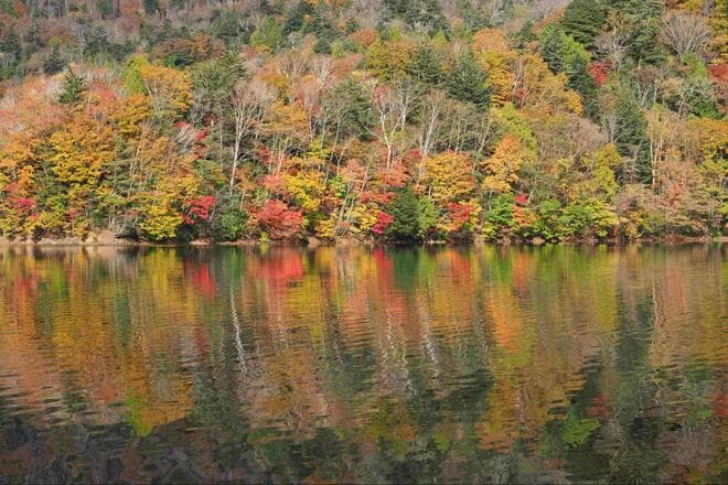 湖上から「紅葉絶景」360度展望！ 10月初旬「丸沼」で「秋のワカサギ」釣行！  帰宅後は天ぷらでシメる、まさに「釣り人の特権」満喫レポ【群馬県片品村】の画像008
