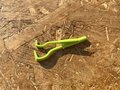 家族のアウトドアに役立つ「もしも」の備え！「こどもキャンプのプロ」が教える準備のポイント【家族でソトアソビ！vol.４】の画像006