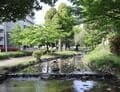 「秩父・飯能・東大宮・朝霞」埼玉在住ライターが選ぶ「埼玉で遊べる川」4選！の画像003
