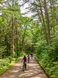 冬だけの遊び場じゃない！ 野沢温泉のグリーシーズン2021開幕【MTB編】の画像007