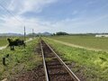 兵庫・播磨のローカル線で独特の雰囲気を持った駅をめぐる【関西鉄道路線周辺曼荼羅 vol.10「北条鉄道北条線」粟生駅～田原駅間】の画像004