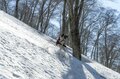 【山スキー】残雪に覆われたブナの森が芽吹きだす 「信越トレイルの名峰、鍋倉山の春を滑る」 長野県飯山市・関田山脈 2025年の画像007