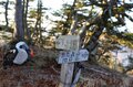 今年の営業はお休みですが…光岳小屋周辺へ妄想散歩に出かけましょう【わたし、山小屋はじめます vol.8】の画像002