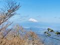 ゴールデンウィークに登りたい「春を迎える」関東の百名山3選！  静岡「天城山」 神奈川「丹沢山」 東京・埼玉・山梨「雲取山」の画像002