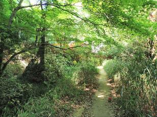 NHK大河ドラマ『光る君へ』ゆかりの名刹も！  ルート設定自在「中山連山」 縦走13kmでも「スーパーまで10分」ほかエスケープ多数【兵庫県宝塚市】