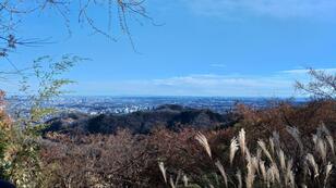 人気の山にも穴場！？ 「高尾山」のマイナールート「金毘羅コース」 小径でも歩きやすい＆エスケープもOK！【実踏レポ】