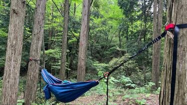 森の中 “わたしスペース” でふわり＆ゆらゆら「モンベル