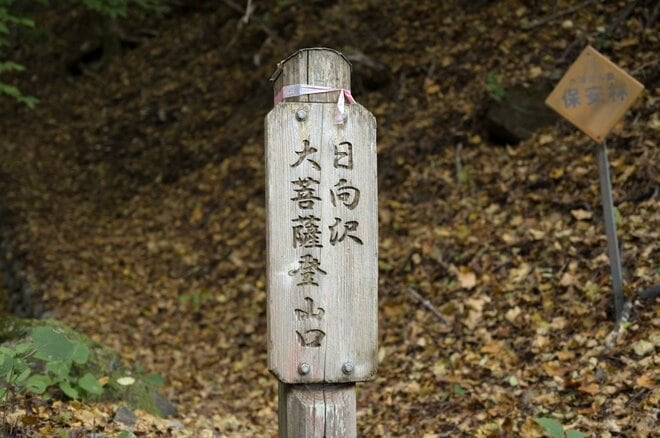 【首都圏近郊ハイキング】日帰りでもしっかり歩ける穴場「牛の寝通り」で紅葉大満喫の画像008